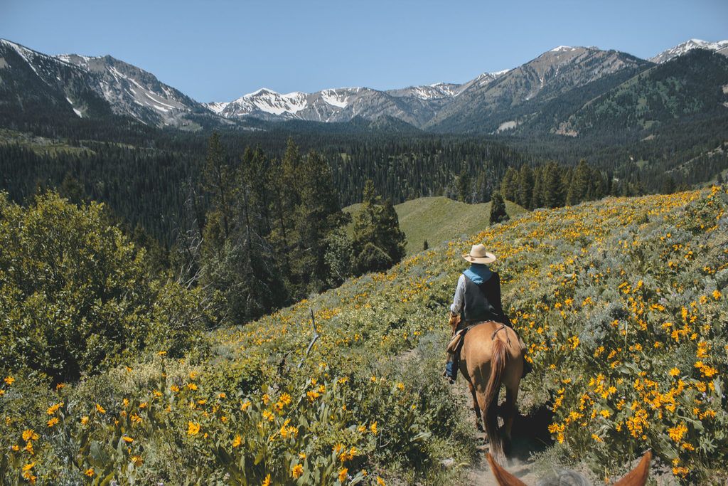 Horseback riding Grand Teton National Park