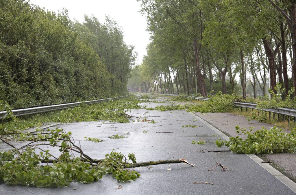 Trees fall while RV driving in crosswinds