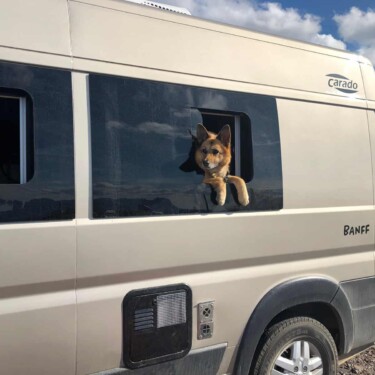 keeping dogs cool in an RV