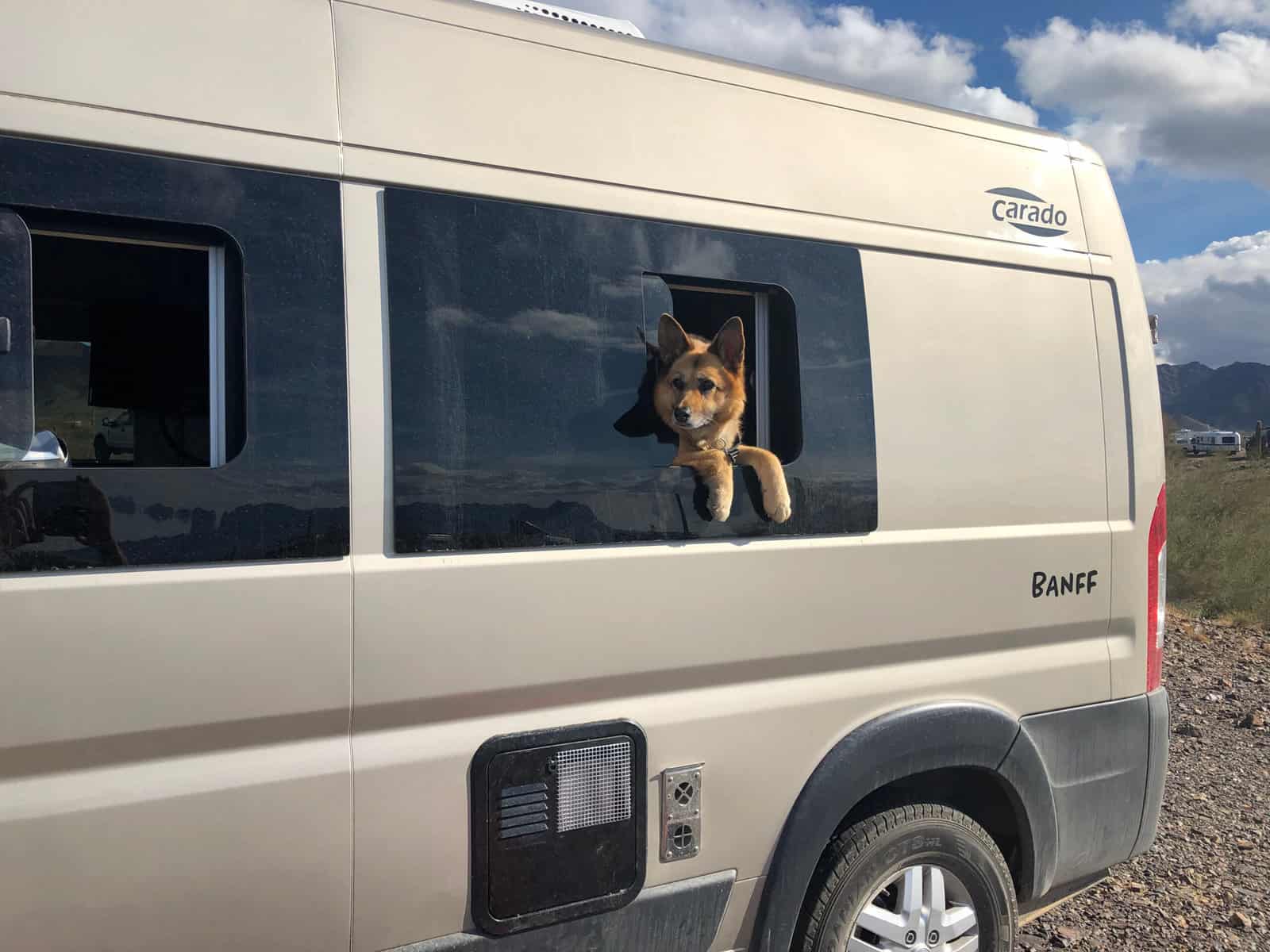 keeping dogs cool in an RV