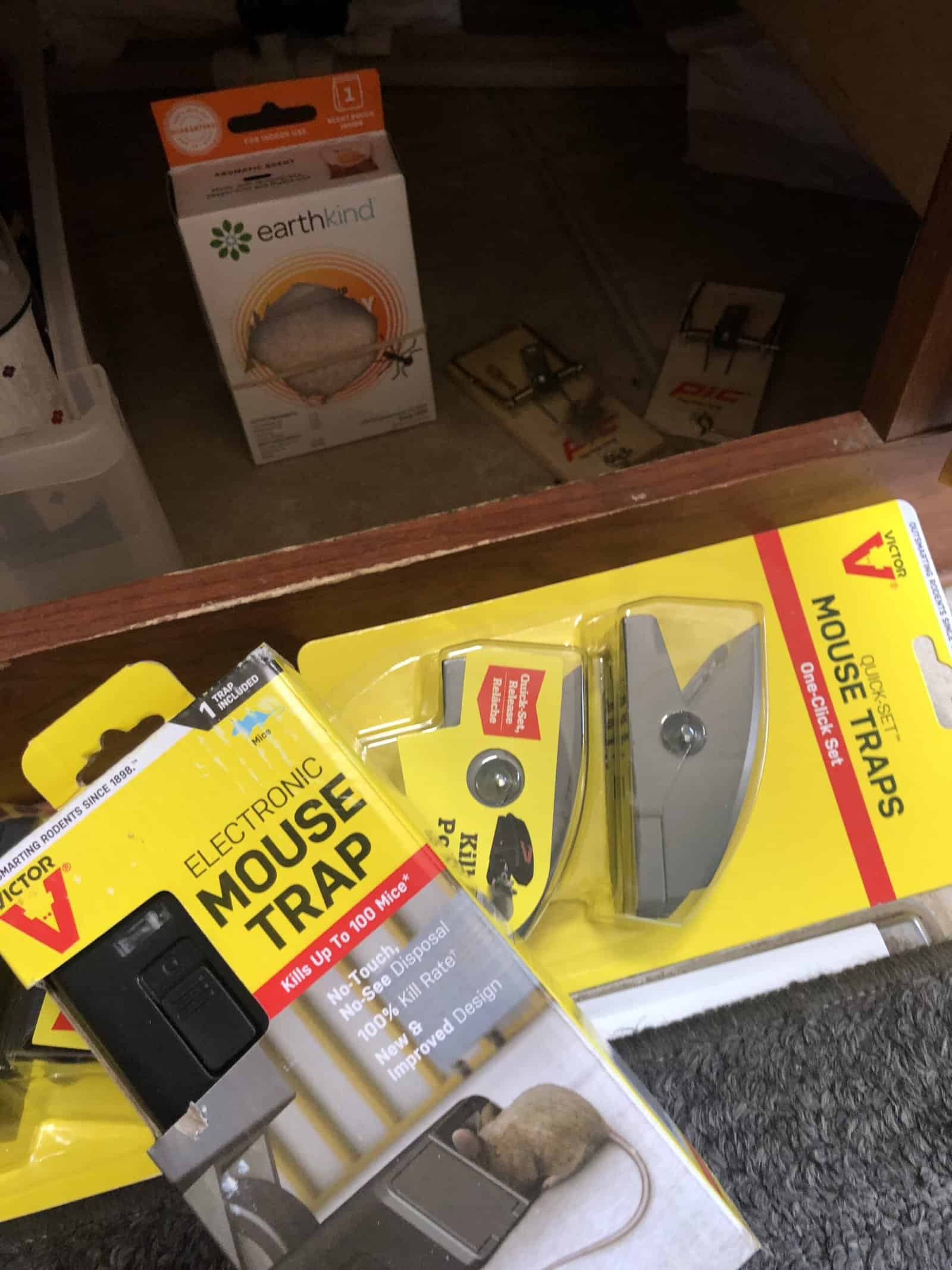 mouse trap choices