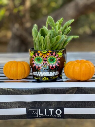 decorating a campsite with two small pumpkins and a voodoo skull planter