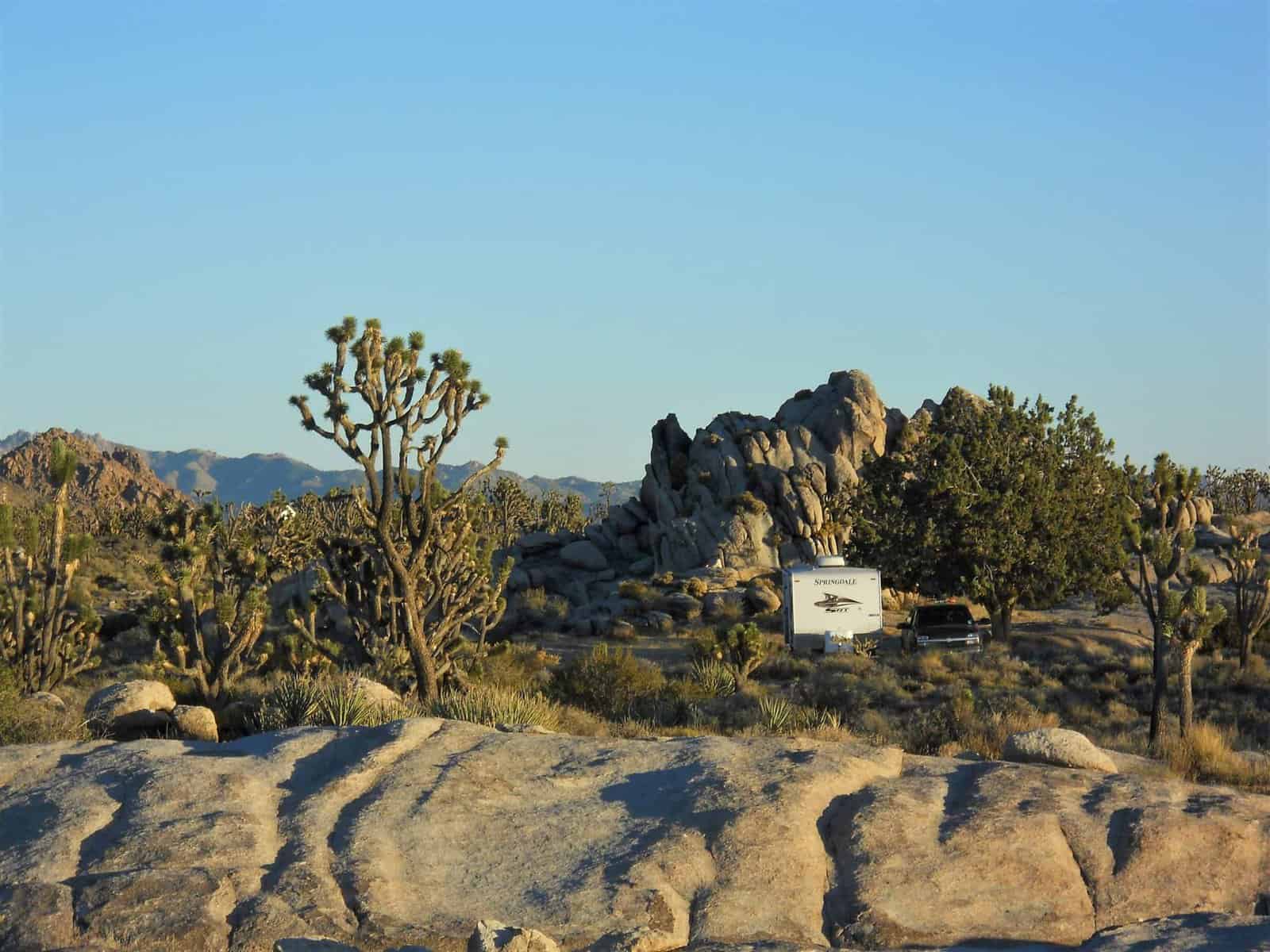 RV among Joshua Trees, Boondocking in Mojave National Preserve