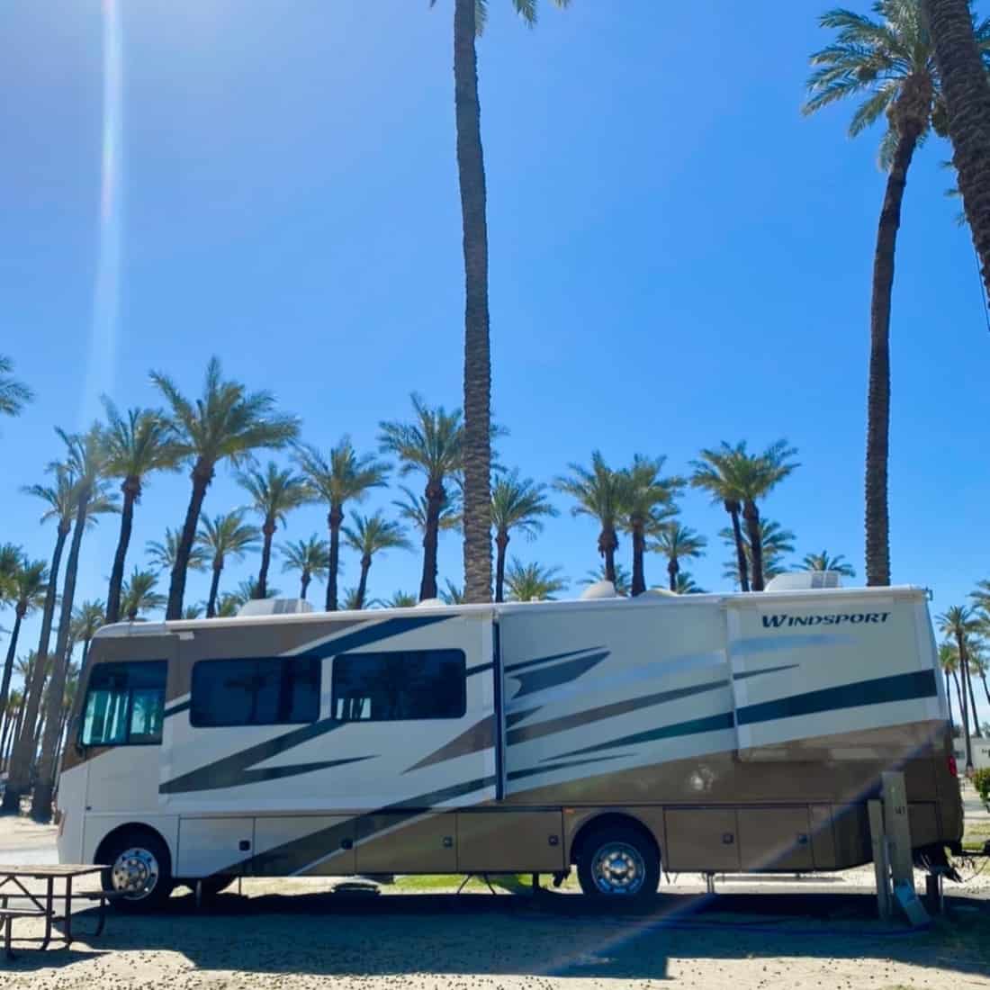 Palm Springs RV Resort (Image: @Channon Rose, RV LIFE Campgrounds)