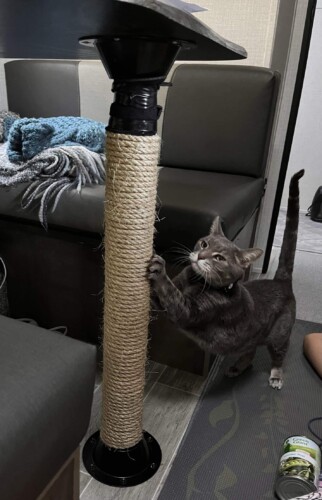 RV dinette table leg converted to scratching post! (Image: T. Ringmas)