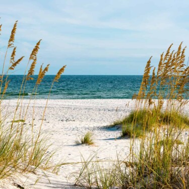 Gulf Coast Alabama (Image: Shutterstock)