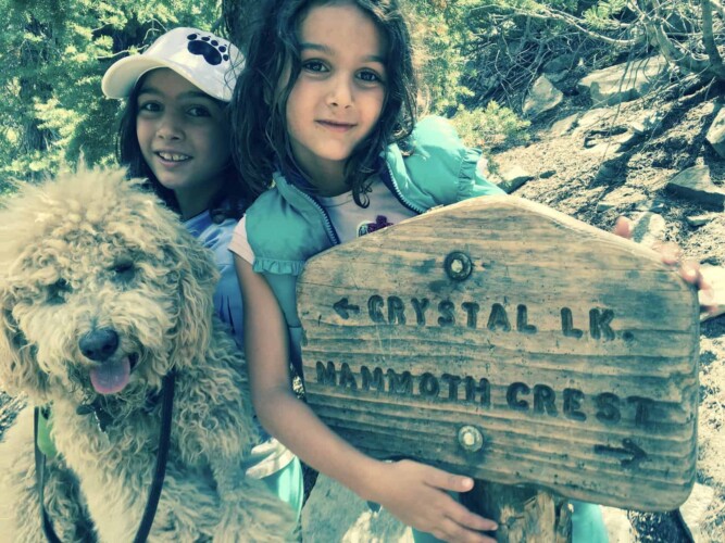 RVing with kids and dogs has benefits for everyone in the family! (Image: Robin Acutt).