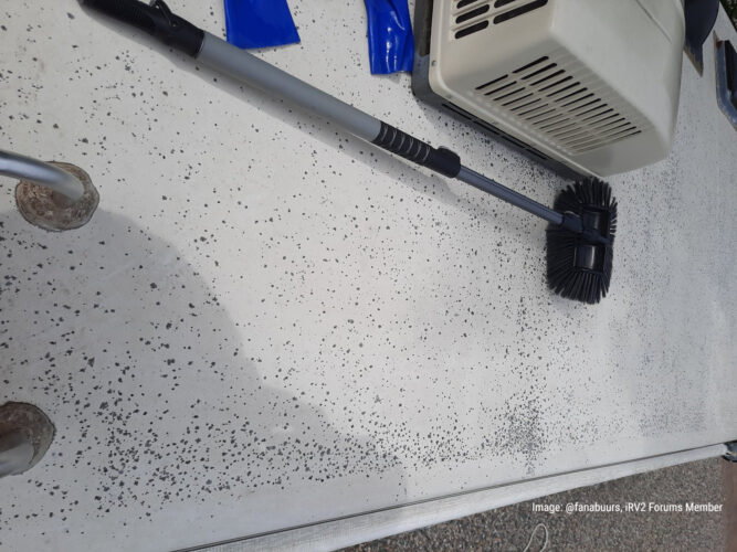 Mildew on EDPM RV roof. (Image: @fanabuurs, iRV2 Forums Member).